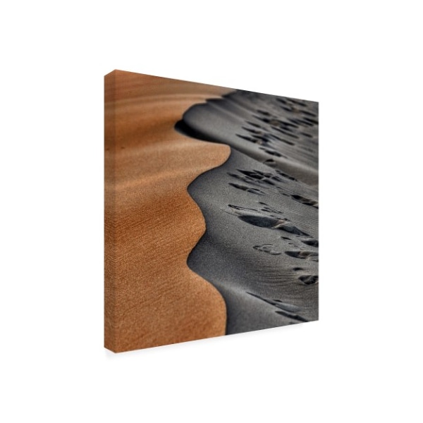 Arash Karimi 'Abstract Sand Dunes' Canvas Art,35x35